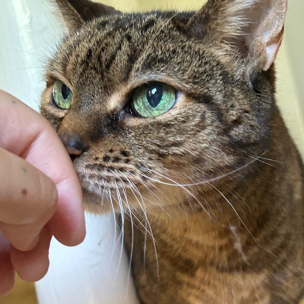 Meet your Posher, Hailey